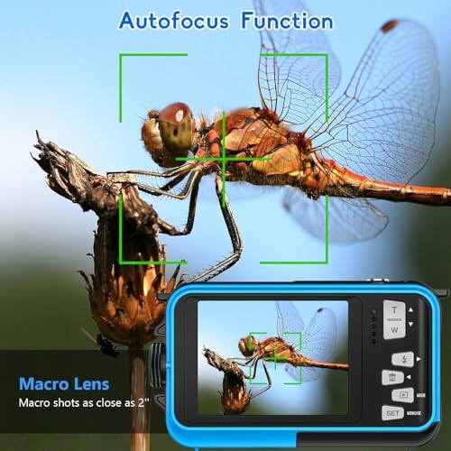 Macro lens capturing a dragonfly perched on a twig with autofocus feature displayed.